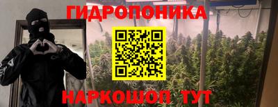 mdpv Рыбинск